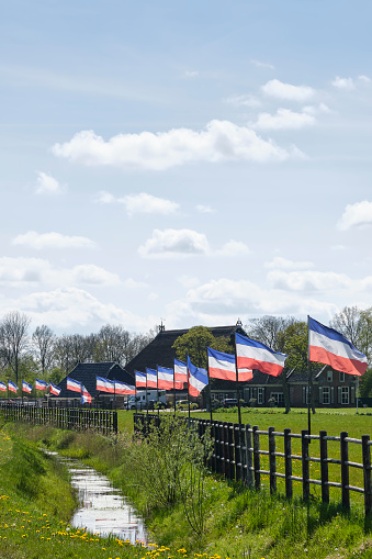 A row of dutch red white and blue upside down flags on an agricultural field in The Netherlands. Farmers in the Netherlands protesting against forced shrinking of livestock because of CO2 emissions.