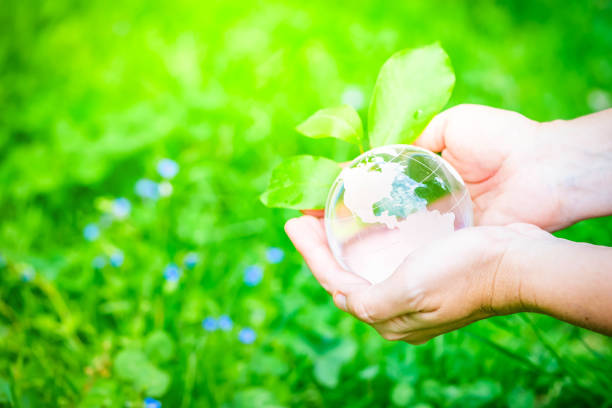 istock earth protection and sustainable ecology development 1487298714