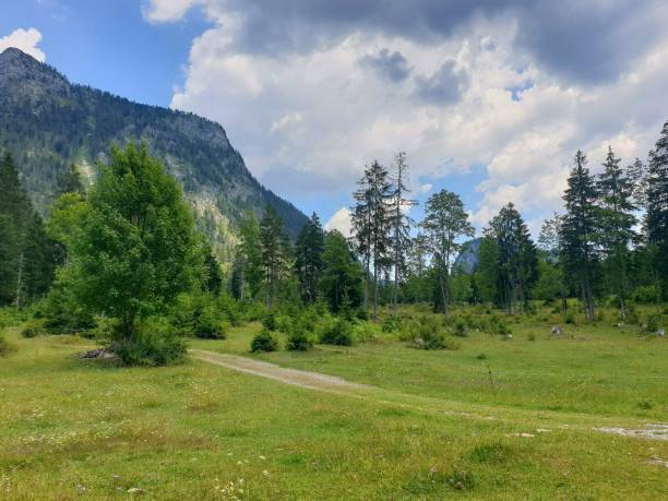 istock way in the mountains / Nature 1487301576