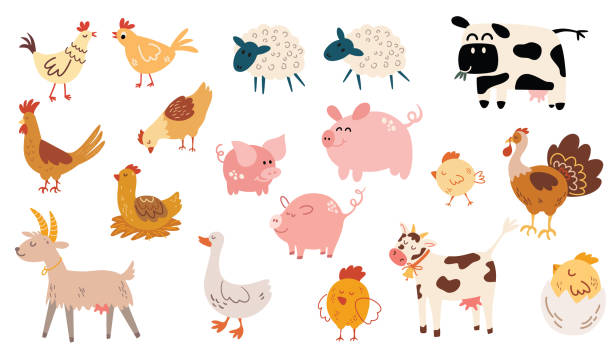 illustrations, cliparts, dessins animés et icônes de 0348_farm_animals - cochon dinde