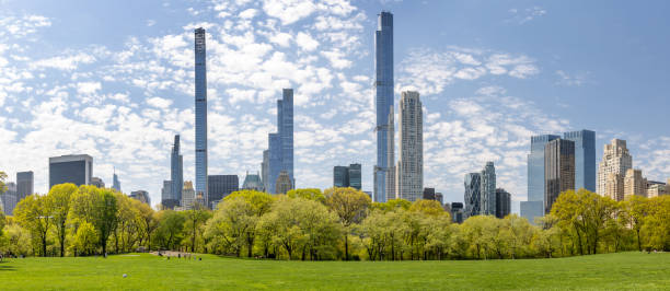 istock Central Park green meadow and skyscrapers 1487302350