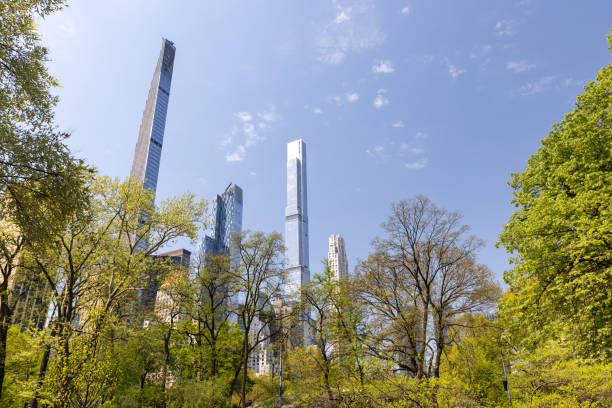 istock Central Park trees and skyscrapers 1487302387