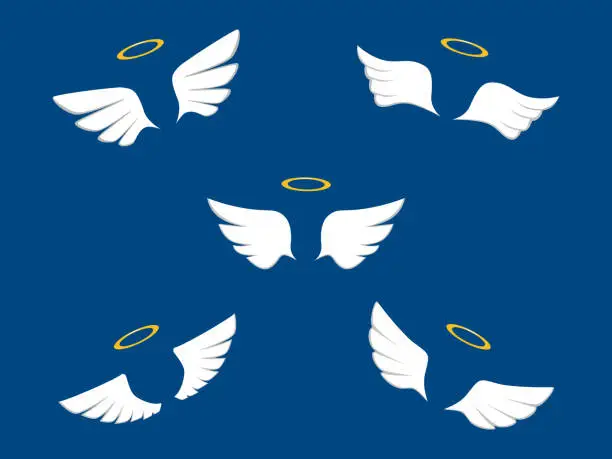 Vector illustration of Angel wings. Angel or bird wings collection. vector