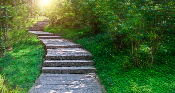 Garden with stone stairs and trees in blurred motion