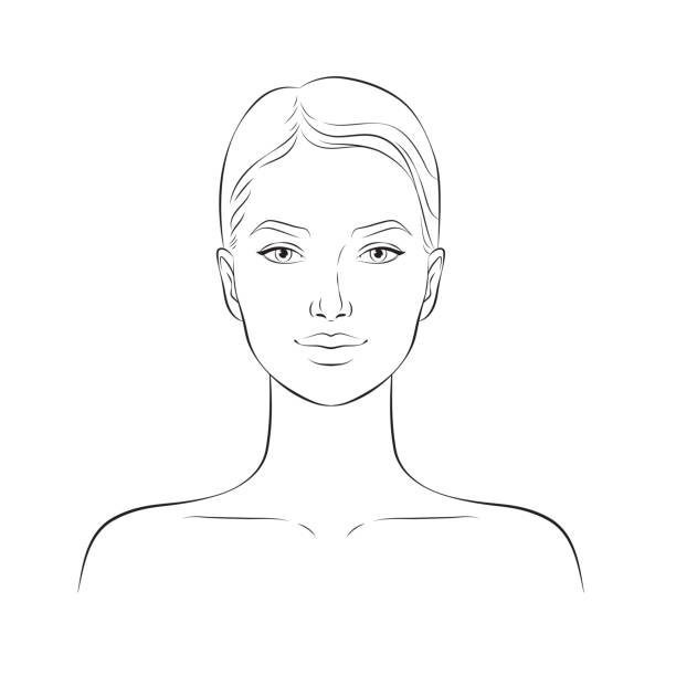 Face of a young beautiful woman, vector illustration Face of a young beautiful woman, vector illustration. drawing of the shoulder anatomy stock illustrations