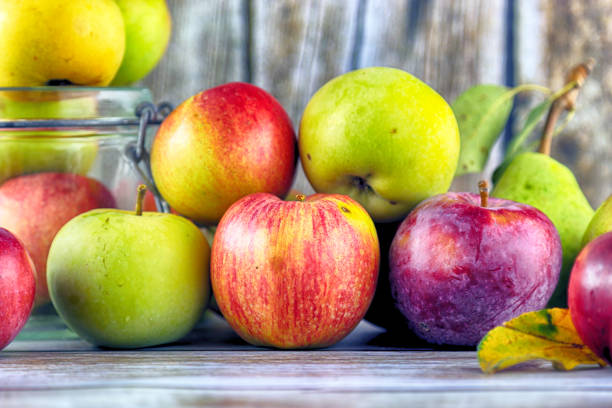 Cтоковое фото Свежие, настоящие яблоки из органического земледелия, экологический урожай на фоне дерева.