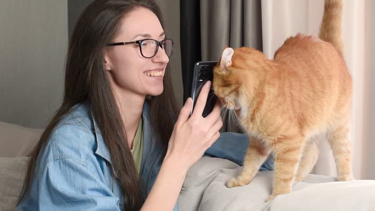 woman playing and stroking a cat