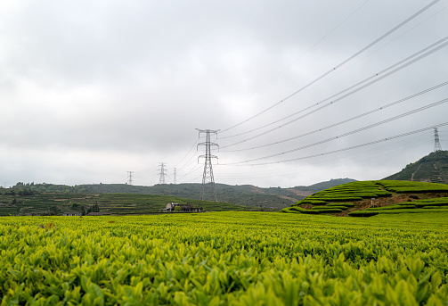 Low viewing angle of transmission tower for organic farm