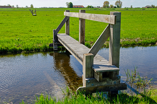 Simple wooden bridge across a ditch with several others in the distance in  a green polder landscape near Rotterdam , The Netherlands