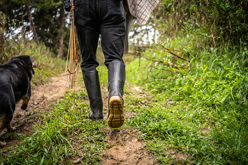 Low section of a farmer walking on a footpath