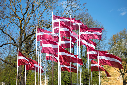 Latvian national flags in The wind in Riga, capital of Latvia.