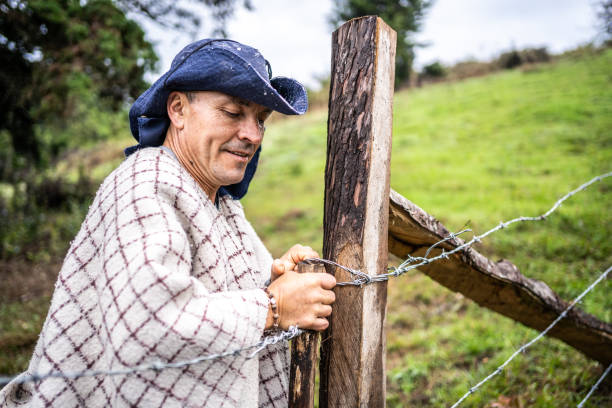 istock Mature farmer opening or closing cattle barbed wire gate in the farm 1487315221