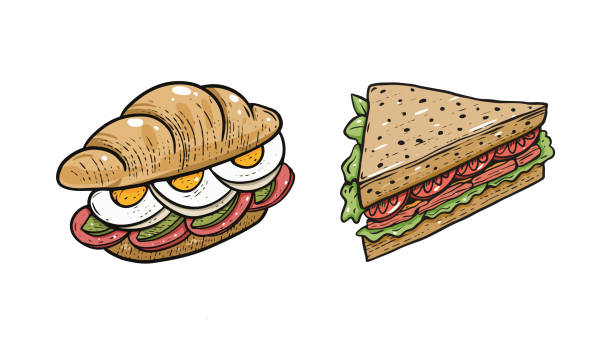 illustrations, cliparts, dessins animés et icônes de les sandwichs colorés de style dessin animé décorent des croquis. - sandwich sketch cartoon line art