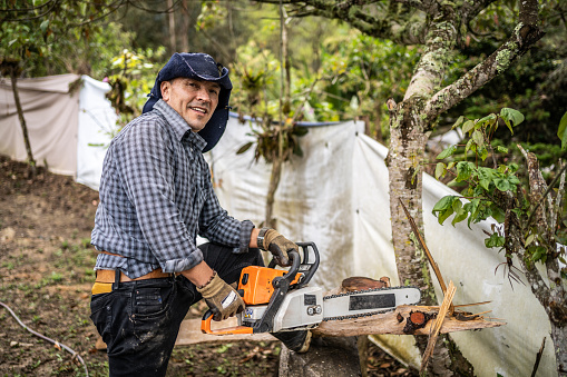 Portrait of a mature farmer cutting firewood with a chainsaw on farm