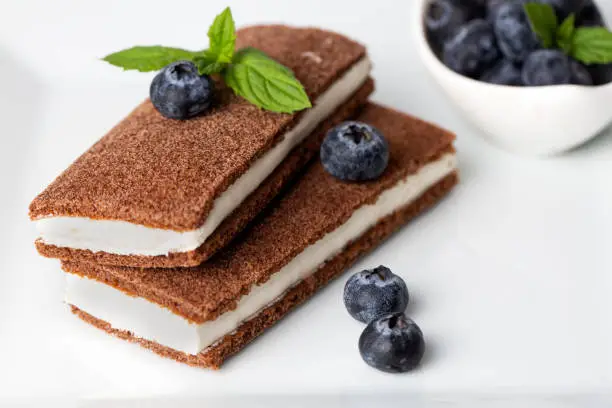 Chocolate biscuit with milk filling and berries on a plate. Chocolate-milk kids dessert. (Turkish dessert; sut dilimi)