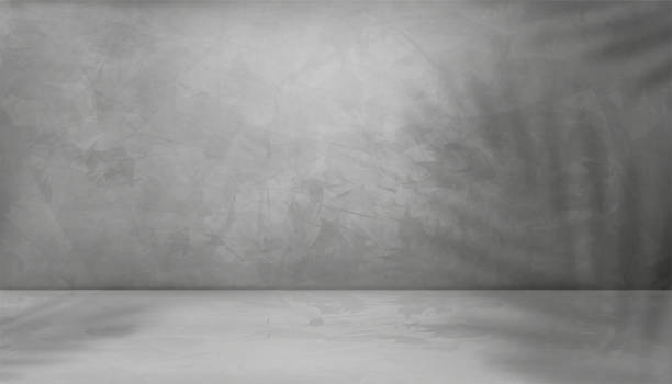 illustrations, cliparts, dessins animés et icônes de fond de texture de mur de ciment gris avec superposition d’ombre de feuilles de cocotier, arrière-plan intérieur de studio vide 3d, mur de ciment gris vectoriel avec lumière sur sol en béton, présentation du produit d’affichage - béton