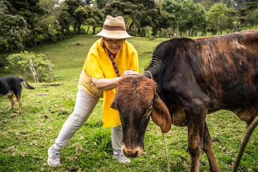 Mature farmer woman with cattle on farm pasture