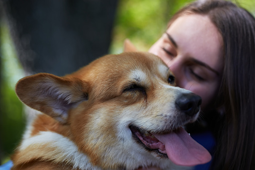 Dog lover giving a kiss to a cute brown corgi dog in a park