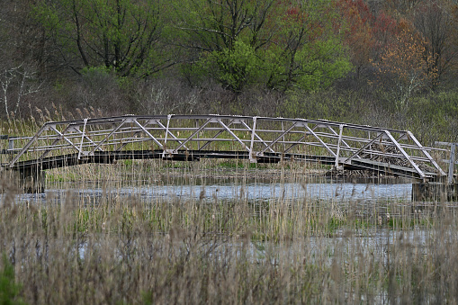 Old steel arching footbridge over the tranquil Bantam River in Connecticut, springtime, with marsh grass in the foreground and a beaver lodge hidden behind the right side of the bridge. At the White Memorial Conservation Center in Litchfield, a public nature preserve.