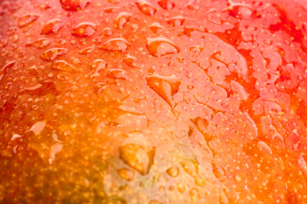 Sweet tropics fruits photo with studio lighting.