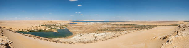 Panoramic view over remote desert valley landscape with salt lake