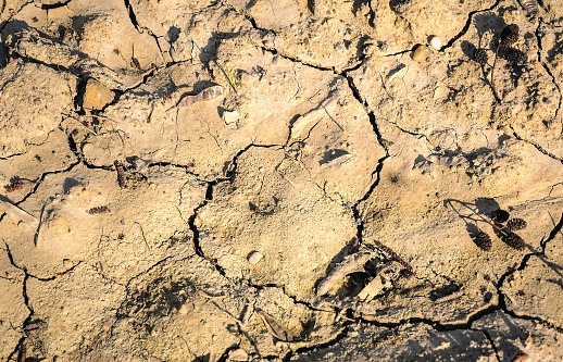 Theme of dried cracked natural earth.
