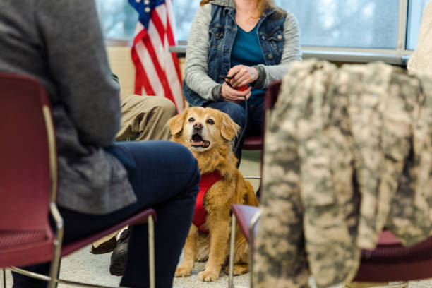 While the unrecognizeable people share during group therapy, the emotional support animal sits in the circle.
