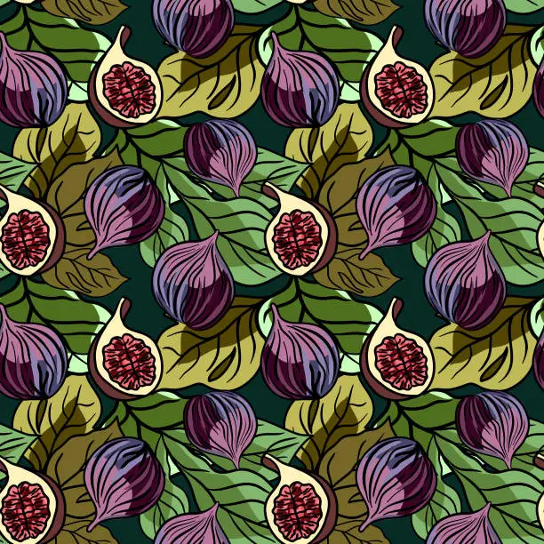 Vector illustration of Figs and leaves vector pattern