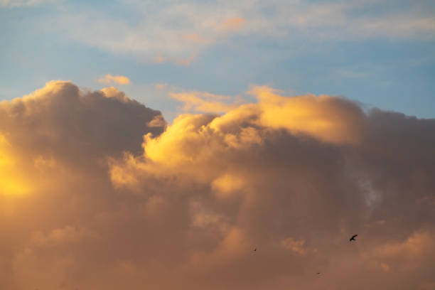 Beautiful bright summer sunset sky with clouds. Sunset sky  clouds background.