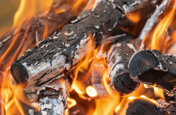 istock Fire on branches and firewood burning in coals. 1487331353
