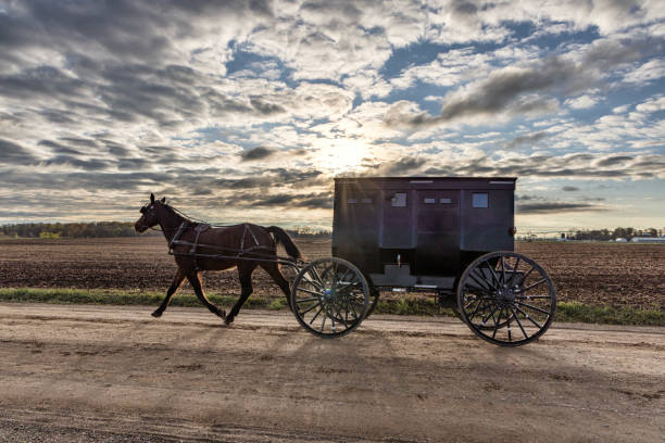 istock Amish Buggy in Early Morning 1487333121