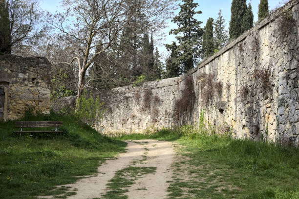 istock Tree arching on the bend of a dirt path bordered by a boundary wall in a park by the hillside 1487333484