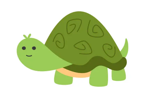 Vector illustration of Turtle Animal Staying