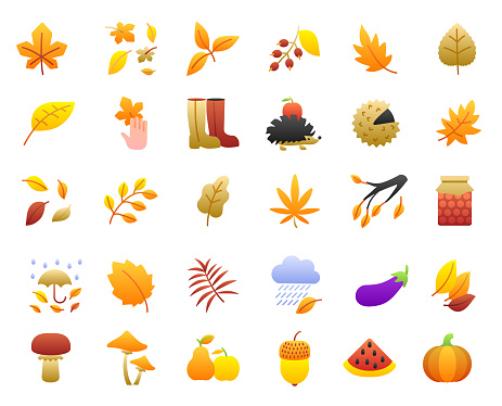 Autumn icons set. Vector illustration. Flat gradient style.