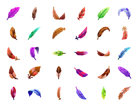 Feathers flat gradient icons set. Vector illustration.