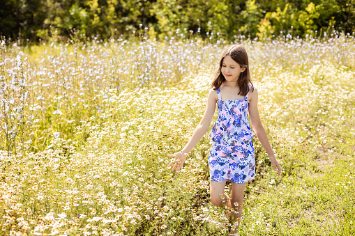 Cute teenage girl walking in a summer flower field, looks away.