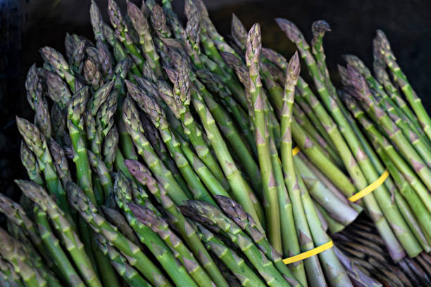 istock Close up of celery stems 1487338953