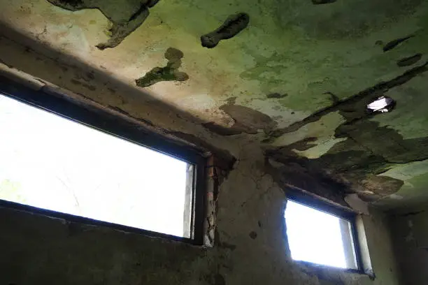 Abandoned building interior. A shabby desolate room with empty broken windows, mold, dust and cobwebs on the walls. The plaster fell off on the wall. holes in the structure. Collapsing building