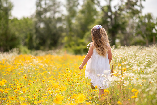An adorable Eurasian toddler is laughing and running through a field of wildflowers while on a family nature hike through the Gorge in Oregon.