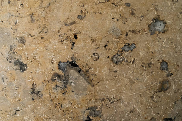 istock Background in marble style beige-brown 4 1487348301
