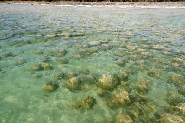 Chipiona fishing pens, an artificial stone enclosure on a rocky area, suitable for fishing. Atlantic Ocean in summer. Chipiona, Cadiz, Andalusia, Spain - September 2, 2025.