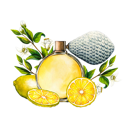 Watercolor floral perfume bottle with lemon tree branch, fruits and flowers. Hand-drawn illustration flowers aroma spray isolated on white background for greeting cards, wedding invitation and birthday.