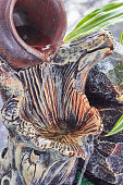 dekorativer-brunnen-in-form-eines-glastopfes.jpg?b=1&s=170x170&k=20&c=KcAmsm3vy12suxE5y0gNw6_E3HIcV-fXn-x8FF8hx3E=