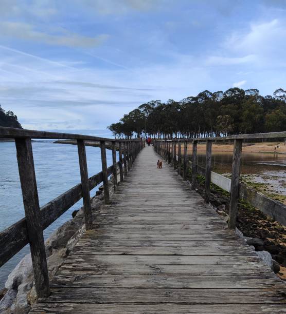 istock Rodiles beach promenade 1487355106