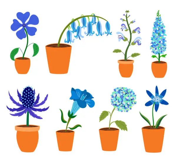 Vector illustration of Colorful realistic flat flowers in pot set. Blue and purple colors. Perfect for illustrations and nature education.