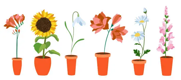 Vector illustration of Realistic colorful flat flowers. Perfect for illustrations and nature education.