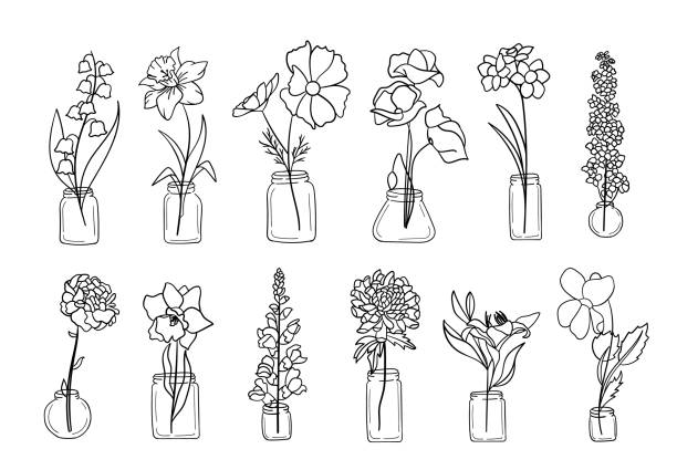 illustrazioni stock, clip art, cartoni animati e icone di tendenza di set artistico realistico di linee di vasi di fiori. perfetto per le illustrazioni. - hyacinth flower vase daffodil