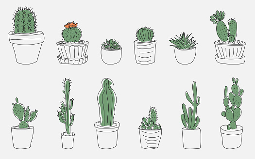 A set of cacti in pots in the doodle style with colored green spines. Cute black and white cacti and succulents. Vector illustration isolated on a white background.