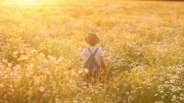 A child girl walks along the summer field