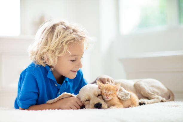 子供、犬、猫子供たちは子犬、子猫と遊びます。 - child house dog bed ストックフォトと画像